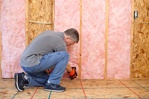 Best Residential Insulation in Decatur, AR
